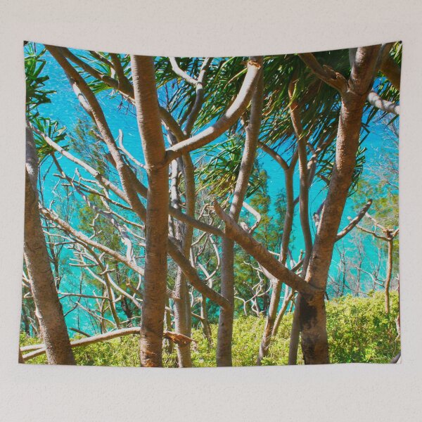 Item preview, Nā Pali Coast - Kalalau trail, Kauaʻi HAWAII designed and sold by Bruno Beach.