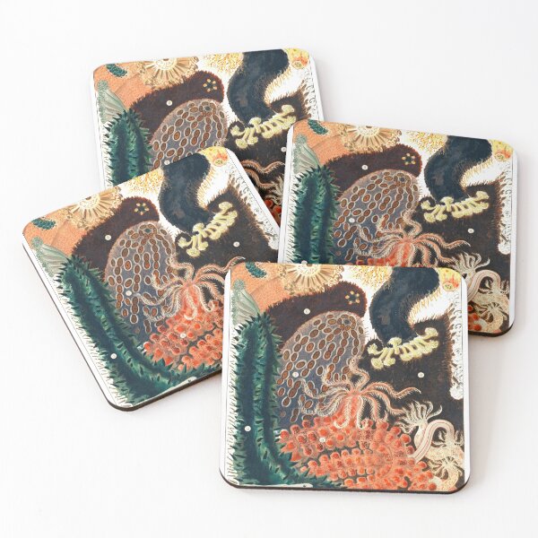 Item preview, Bêche-de-Mer designed and sold by ChickAndHawk.