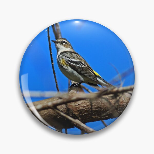 Item preview, Yellow-rumped Warbler designed and sold by Michiale.