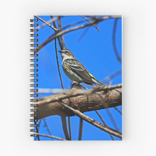 Item preview, Yellow-rumped Warbler designed and sold by Michiale.