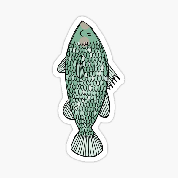 Barramundi Stickers for Sale, Free US Shipping