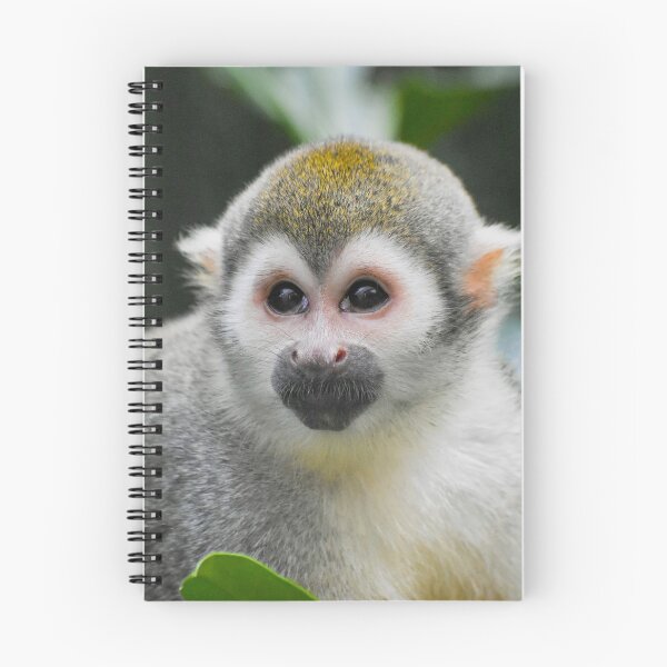 Item preview, Cute squirrel monkey designed and sold by cdkphotos.