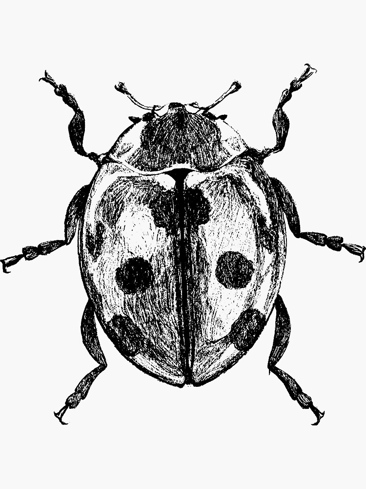 "Ladybug" Sticker by GeekAndNerdy Redbubble