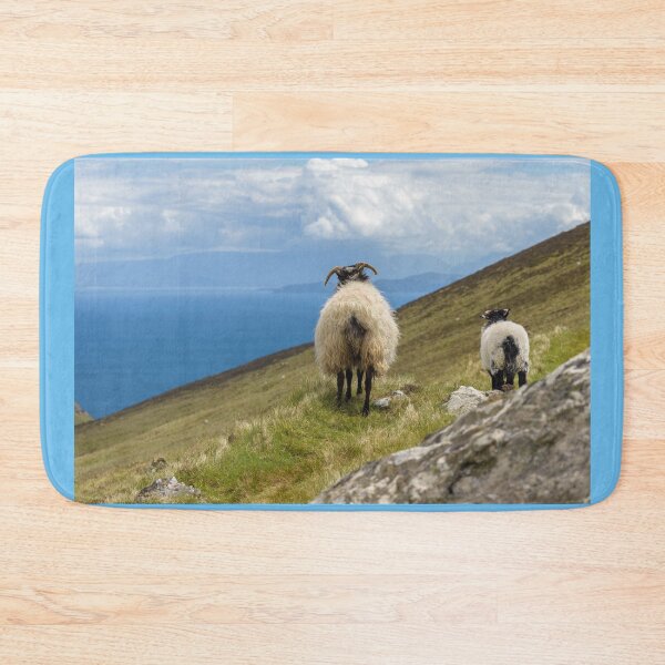 Item preview, Family of cute sheep on the hills of Achill Island, County Mayo on the west coast of the Republic of Ireland  designed and sold by AlbertMi.