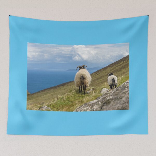 Item preview, Family of cute sheep on the hills of Achill Island, County Mayo on the west coast of the Republic of Ireland  designed and sold by AlbertMi.