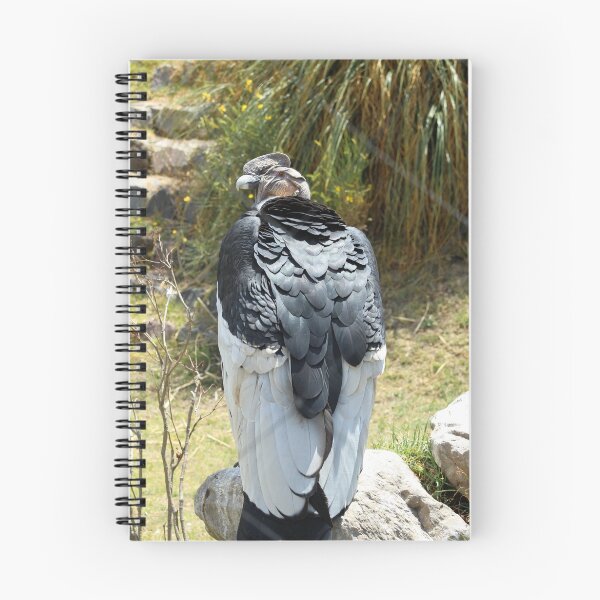 Item preview, Condor designed and sold by rhamm.