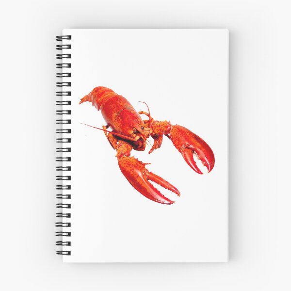 Item preview, Lobster designed and sold by DoodleDashCollective.
