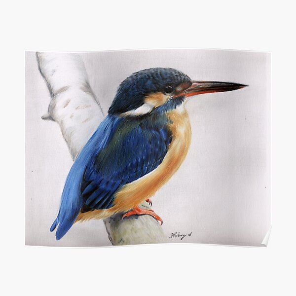 kingfisher Poster