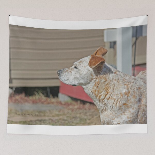 Item preview, Looking Into The Sun designed and sold by denise romano.