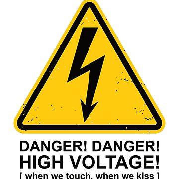 Danger! High Voltage - Electric Six