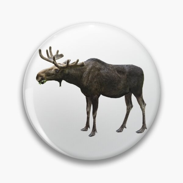 Item preview, Moose designed and sold by DoodleDashCollective.