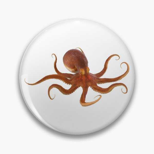 Item preview, Octopus designed and sold by DoodleDashCollective.