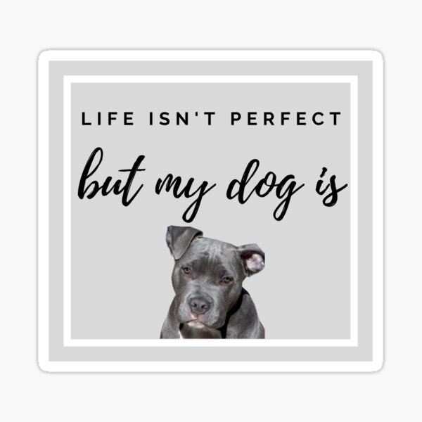 Staffordshire Bull Terrier Quotes Gifts Merchandise Redbubble