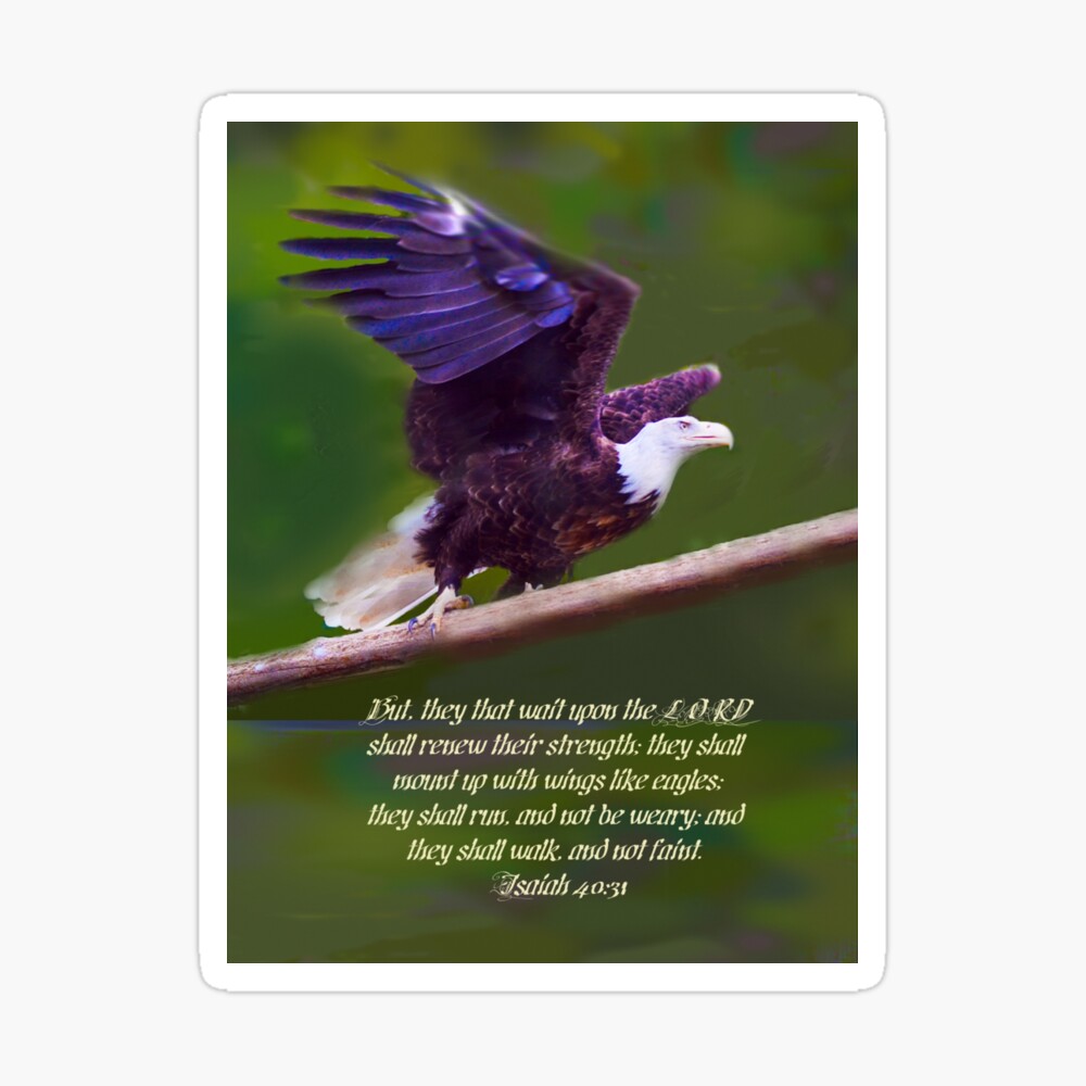 Eagles Wings Father's Day Card