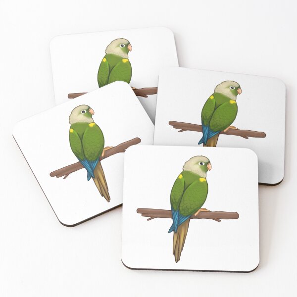 Artikelvorschau, Nette Conure entworfen und verkauft von meruesan.