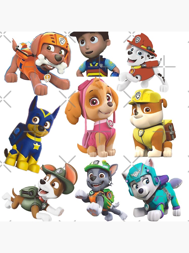 paw patrol rocky everest