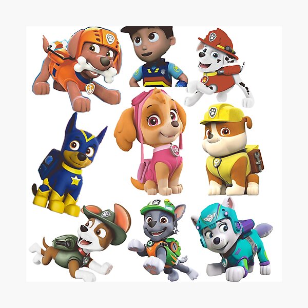 Individual Paw Patrol Characters Ubicaciondepersonas cdmx gob mx