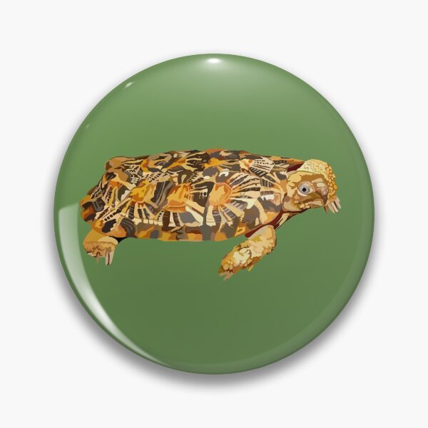 Artikelvorschau, P steht für Pancake Tortoise, Pancake Tortoise Artwork – Einzigartige Flachschildkröten-Illustration und Wildlife-Design entworfen und verkauft von PrettylittlepastelUk.