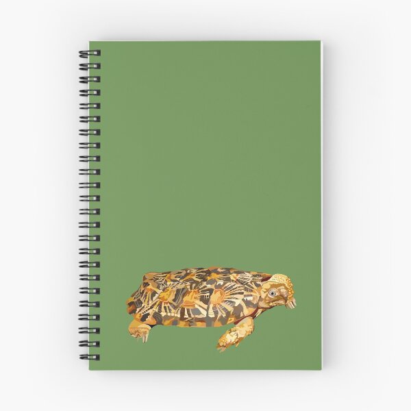 Item preview, P is for Pancake Tortoise,Pancake Tortoise Artwork – Unique Flat-Shelled Tortoise Illustration and Wildlife Design designed and sold by PrettylittlepastelUk.
