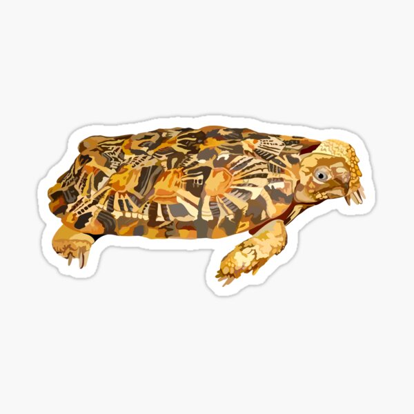Item preview, P is for Pancake Tortoise designed and sold by thezoogirl.