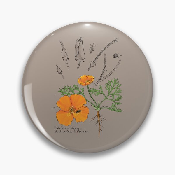 Item preview, California Poppy Botanical - tan designed and sold by mernstw.