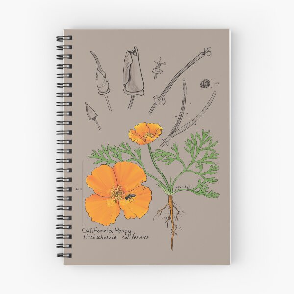 Item preview, California Poppy Botanical - tan designed and sold by mernstw.