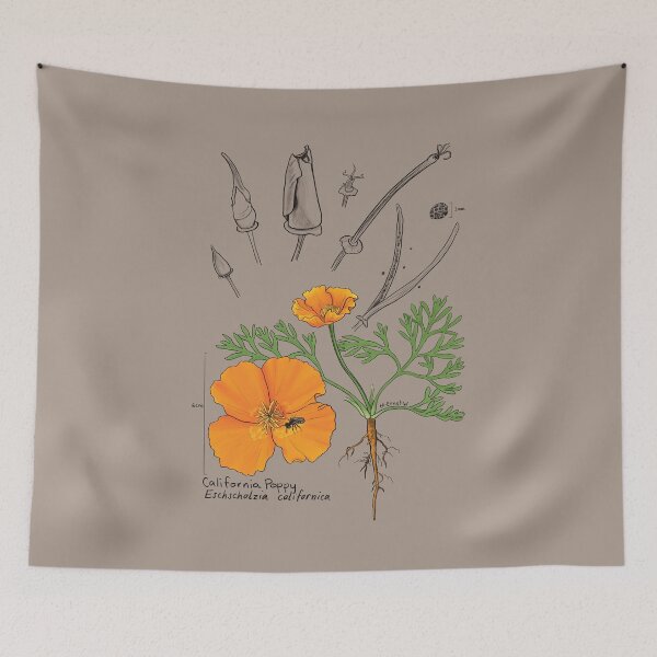 Item preview, California Poppy Botanical - tan designed and sold by mernstw.