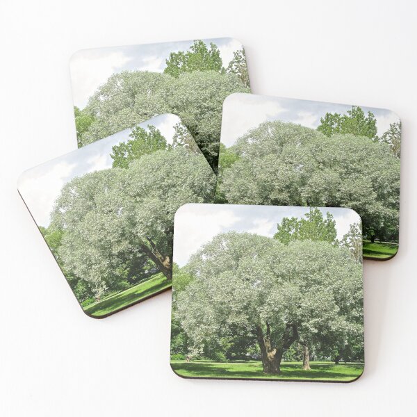 Item preview, Beautiful summer trees designed and sold by Shulie1.