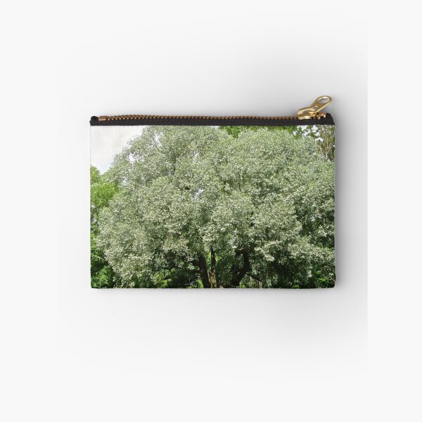 Item preview, Beautiful summer trees designed and sold by Shulie1.