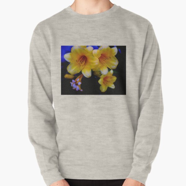 CO177 Pullover Sweatshirt