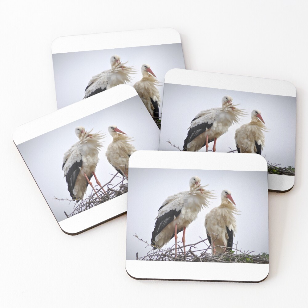 Item preview, Coasters (Set of 4) designed and sold by KevinTPerry.