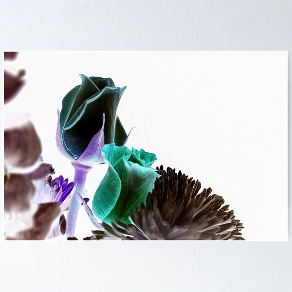 Item preview, ZONA NEGATIVA designed and sold by BOLLA67.