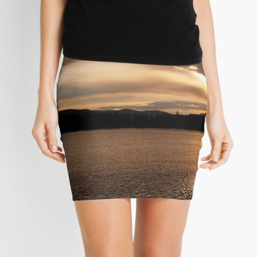 CO170 Mini Skirt