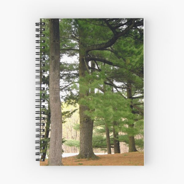 Item preview, Tall Pines designed and sold by Shulie1.