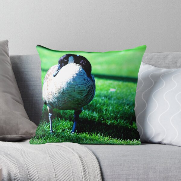 CO164 Throw Pillow