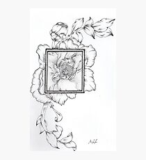 Wild Flora Framed Photographic Print
