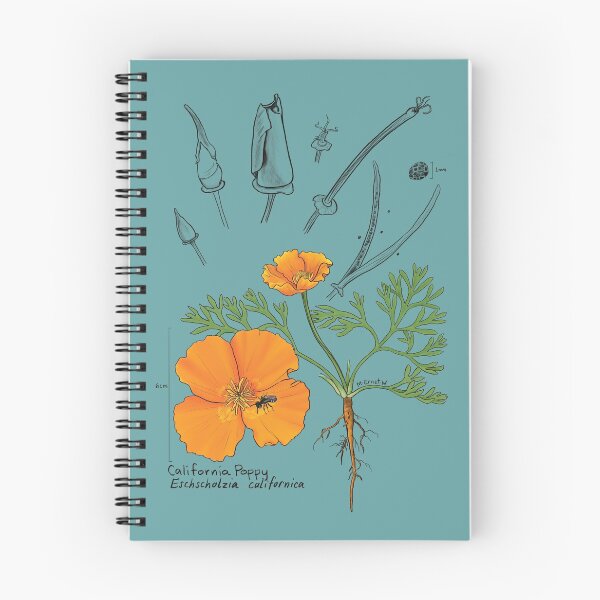 Item preview, California Poppy Botanical - teal designed and sold by mernstw.