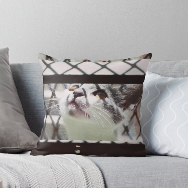 Item preview, LITTLE CAT PLAYING PHOTOGRAPHY EMEICEA designed and sold by EMEICEA.