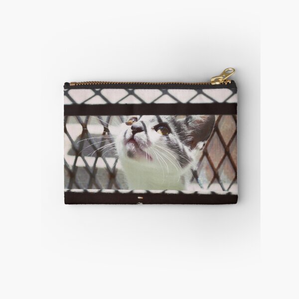 Item preview, LITTLE CAT PLAYING PHOTOGRAPHY EMEICEA designed and sold by EMEICEA.