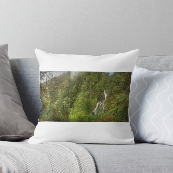 Aperçu de l'œuvre Forêt tropicale, Tarkine, Tasmanie créée et vendue par Kevin McGennan.