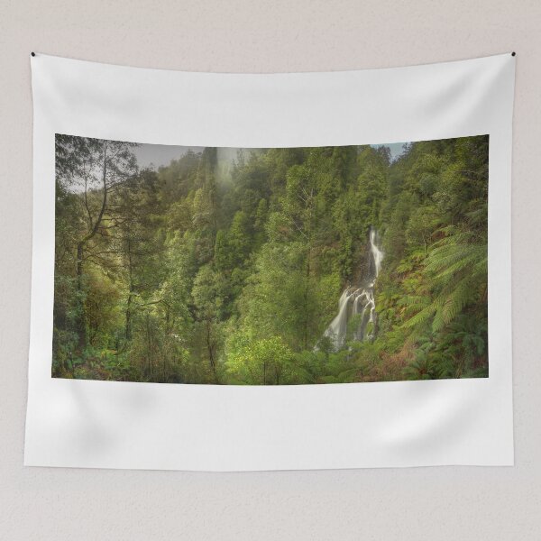 Item preview, Rainforest, Tarkine, Tasmania designed and sold by Kevin McGennan.