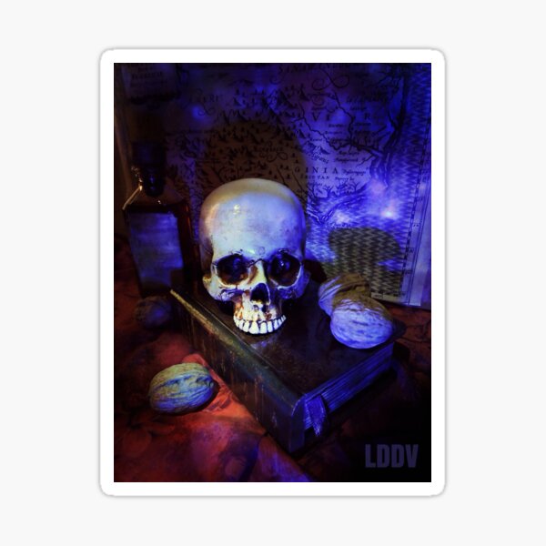 Crâne "En bleu" Sticker