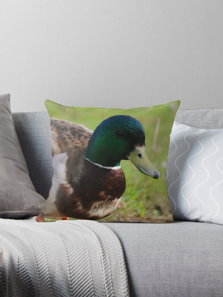 https://ih1.redbubble.net/image.218401482.7517/throwpillow,small,750x1000-bg,f8f8f8.jpg