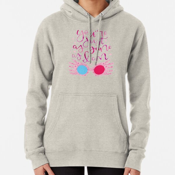 You're Just As Sane as I Am Pullover Hoodie