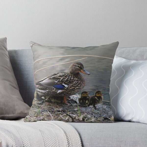 Aperçu de l'œuvre Momma Mallard et les canetons créée et vendue par ADM Photography.