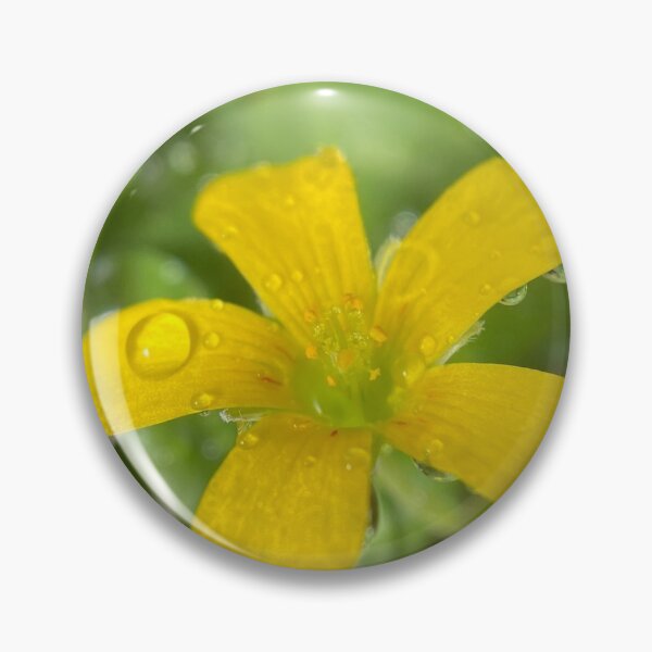 Aperçu de l'œuvre Fleur jaune avec des gouttes d'eau créée et vendue par pinkyjainpan.