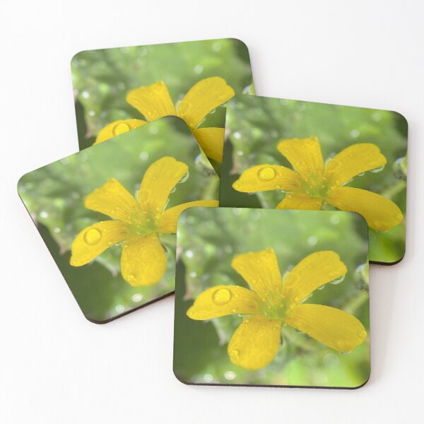 Aperçu de l'œuvre Fleur jaune avec des gouttes d'eau créée et vendue par pinkyjainpan.