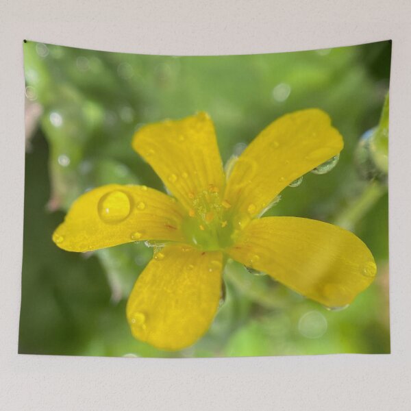 Item preview, Yellow Flower With Water Drops designed and sold by pinkyjainpan.