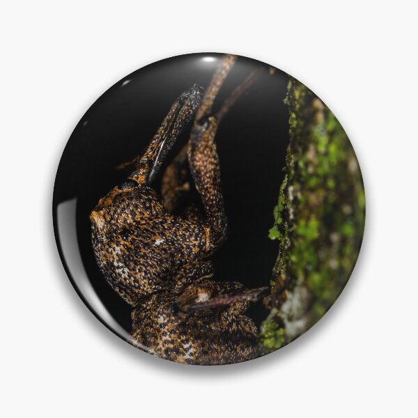 Item preview, Weevil hanging out! designed and sold by TimCBlackburn.