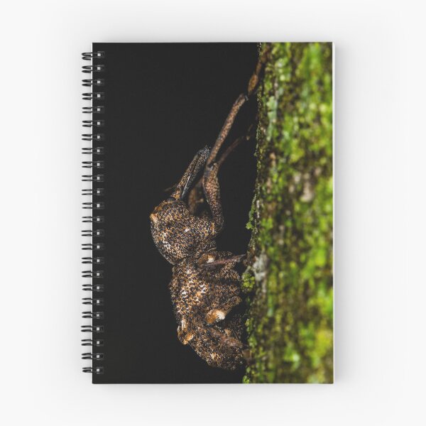 Item preview, Weevil hanging out! designed and sold by TimCBlackburn.